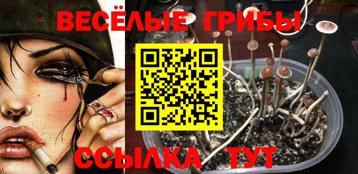 МЕФ   ЭКСТАЗИ  Кокаин  ГАШИШ  Семёнов  Вход с VPN  LSD-25  А ПВП СК кристаллы  МАРИХУАНА  НБОМе 