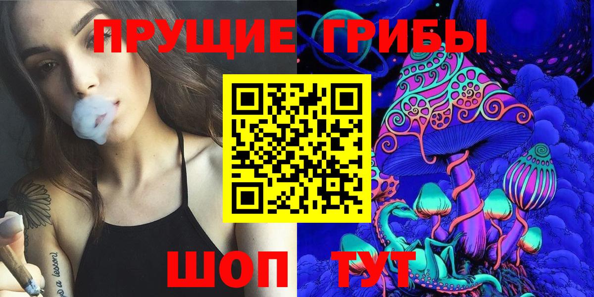 Галлюциногенные грибы Psilocybine cubensis Семёнов