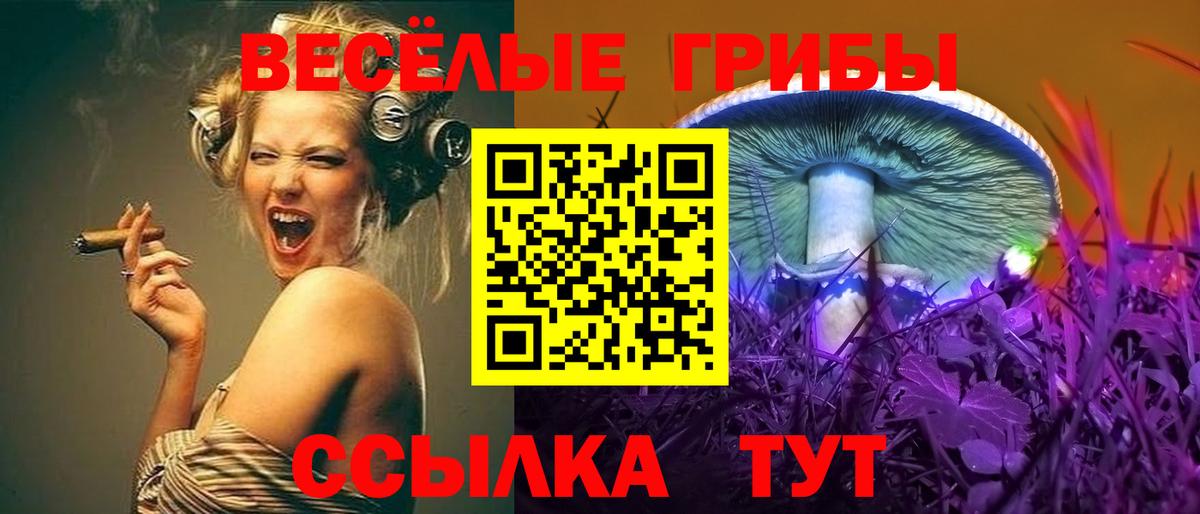 Семёнов  Галлюциногенные грибы ЛСД  купить  цена  Вход с VPN 